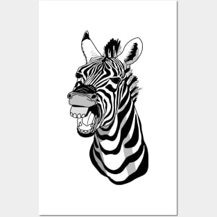 Zebra laughing face or big smile Posters and Art